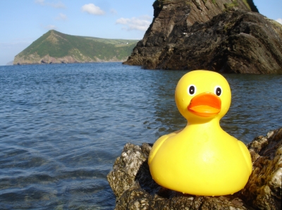 power-duck vor steilküste