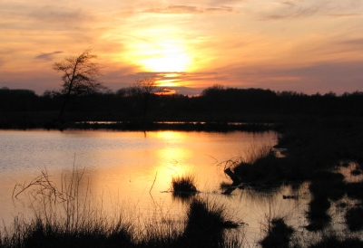 Abends im Hiller Moor