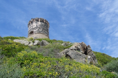 Alter Wachturm auf Korsika