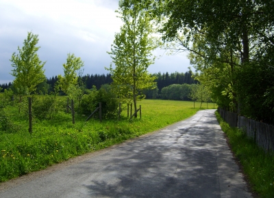 Spaziergang durchs Grün