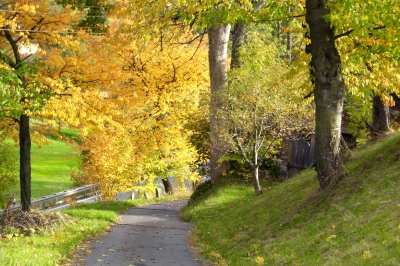 Herbstspaziergang