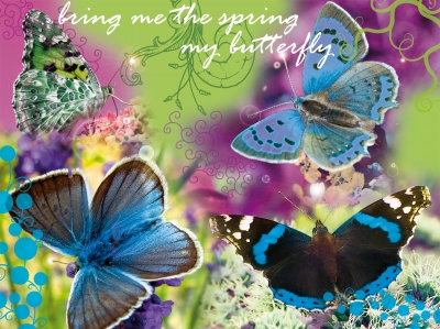 bing me the spring my butterfly