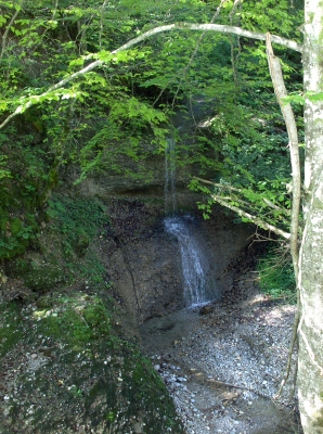 Wasserfall am Nagelfluhfelsen