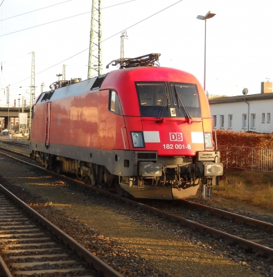 182 001 -Taurus- in Cottbus