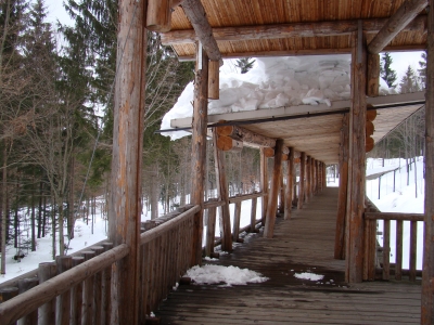 Holzbrücke Ludwigsthal Bayrischer Wald Tierpark