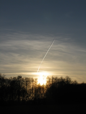 Kondensstreifen im Abendhimmel