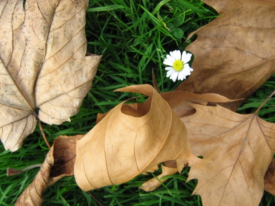 Frühling trifft Herbst