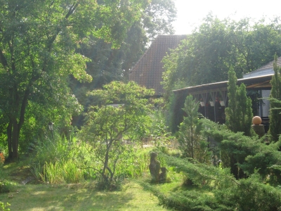 Garten hintern Haus