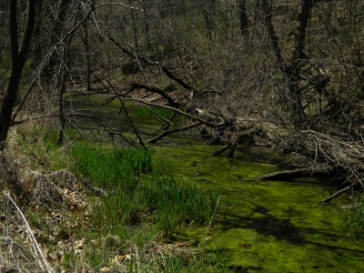 Creek 2