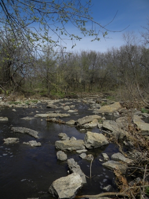 Creek 3
