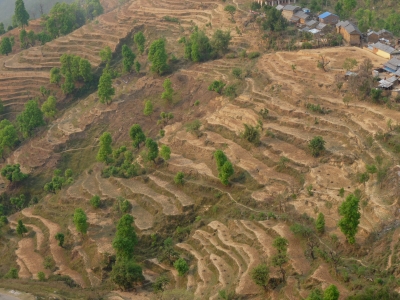 Terassenanbau (Nepal)