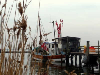Fischerboot am Bodden