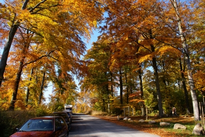 Herbststimmung im Harz
