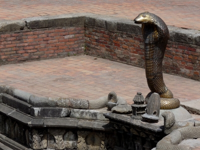 Tempelschlange (Nepal)