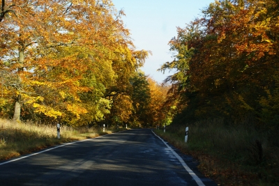 Straße mit Herbststimmung