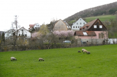 Weilersbach 2 bei Braunsbach