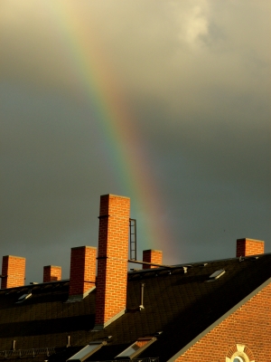 Regenbogen