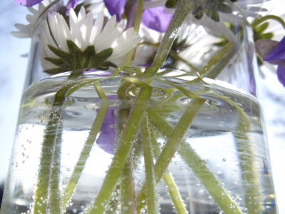 Blumen im Wasserglas 2