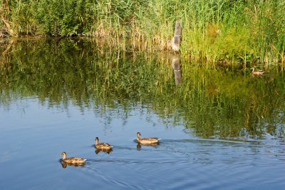 Familienausflug