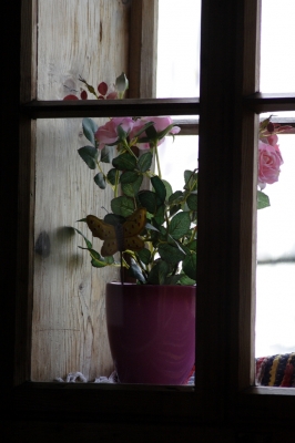 Das Rosenfenster