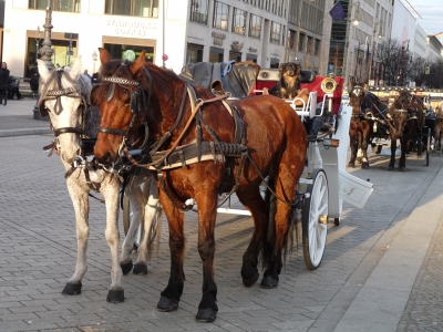 Kutsche vor dem Brandenburger Tor