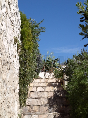 Steintreppe mit Gebüsch