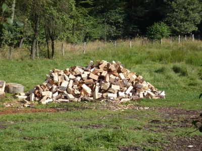 Holzstapel