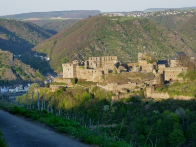 Burg Rheinfels 2