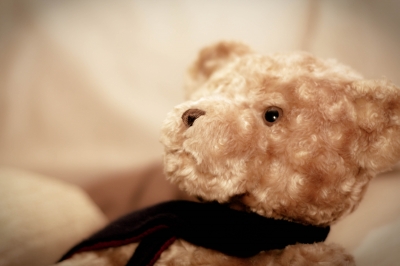 Teddy I