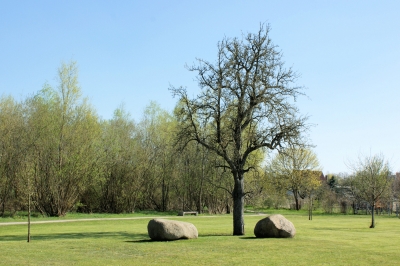 Baum mit zwei Steine