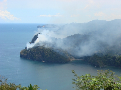 Waldbrand auf Trinidad, Karibik