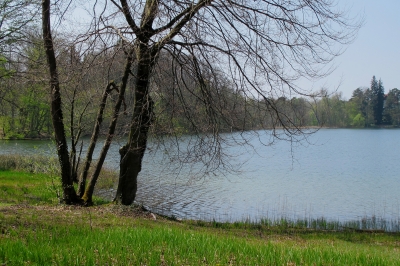 Ruhe geniessen am Katzensee