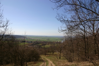 Blick auf Hundsheim