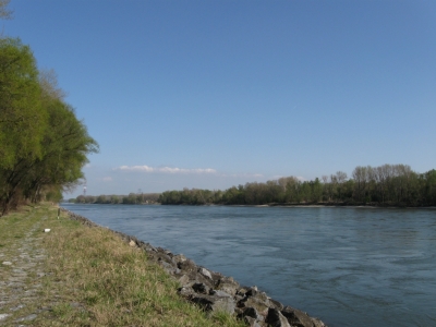 Donau bei Schoenau