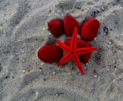 roter seestern am strand