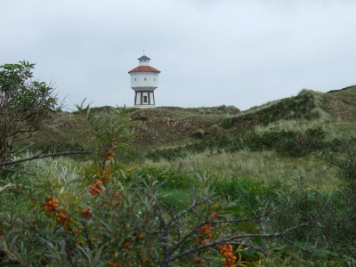 Wasserturm von Langeoog mit Sanddorn