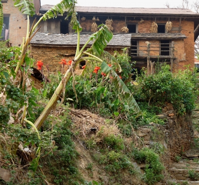 Bauernhaus in Nepal