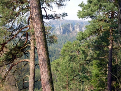 Felswelt auf dem Malerweg in Sachsen