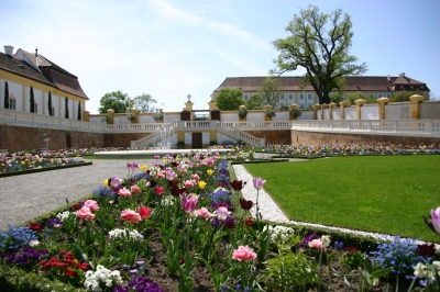 Schloss Hof 11