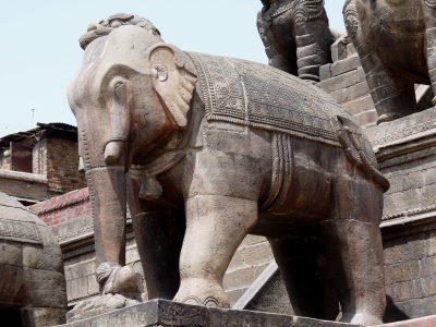 Tempelelefant (Nepal)