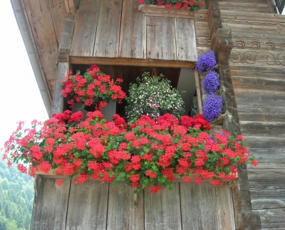 Blumenschmuck an Holzhaus