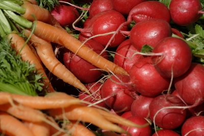 Karotten und Radieschen