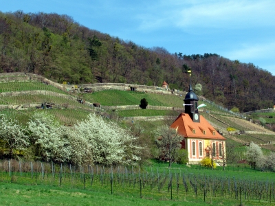 Weinbergkirche im Frühling