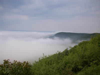 Nebel im Tal-1 (von der Gobert-Eichsfeld)