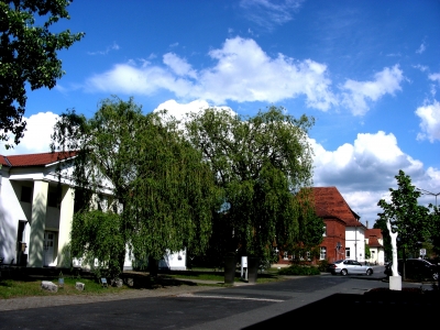 Carl-Thiersch-Straße in Erlangen