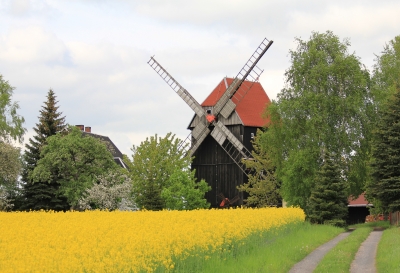 Mühle im Frühjahr