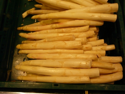 Frischer Spargel