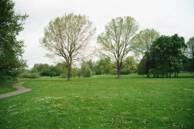 Parklandschaft