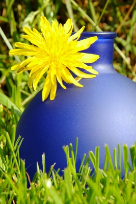 Blaue Vase in grüner Natur