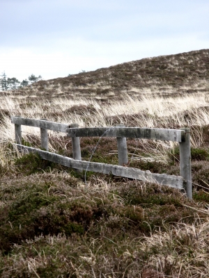 Gatter in der Heide von Kampen